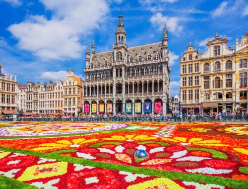 Tapis de Fleurs à Bruxelles